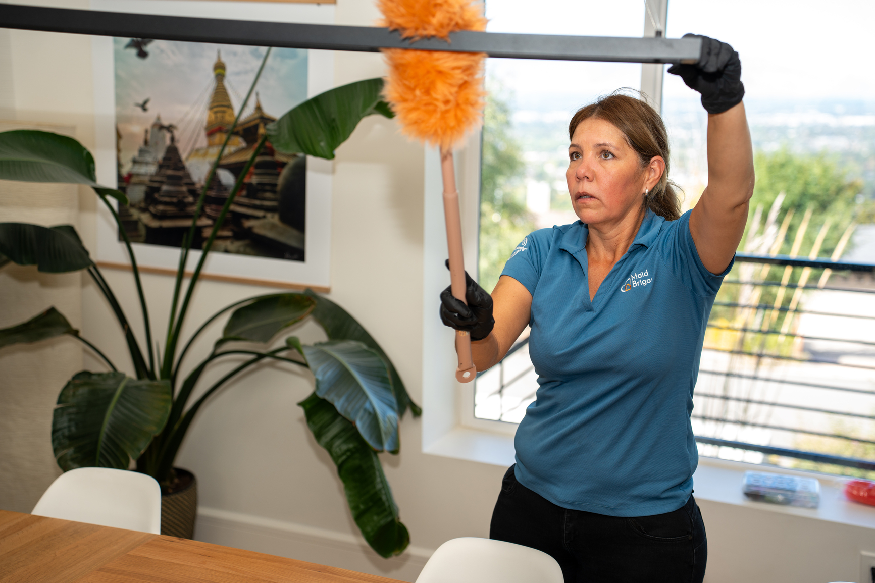 Cleaning Service